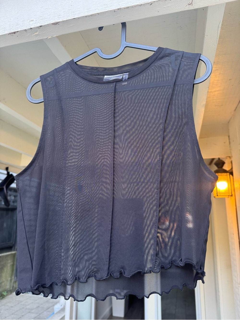 ASOS Sheer Black Sleeveless Crop Top